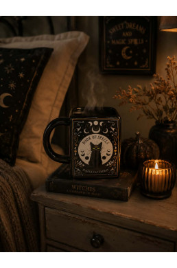Mug Chat Noir