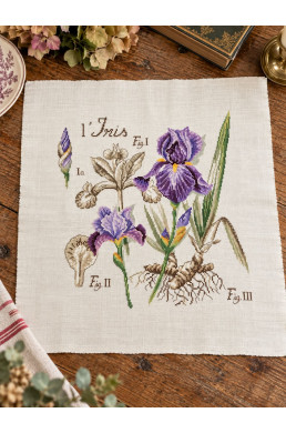 Broderie Point de croix / IRIS